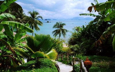 Rejser til Thailand er populære som aldrig før